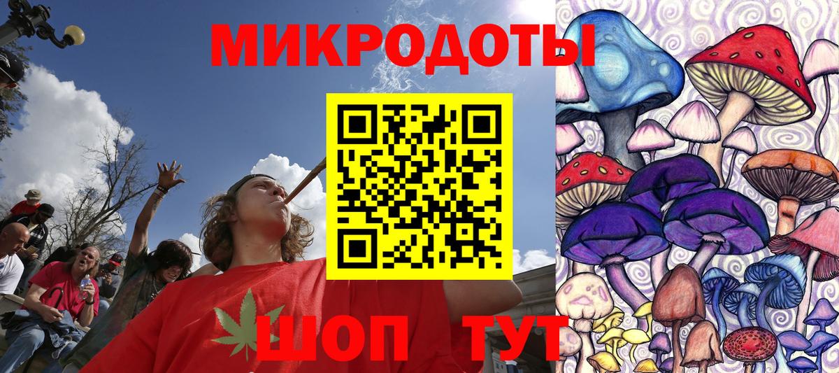 Псилоцибиновые грибы Psilocybe Стрежевой